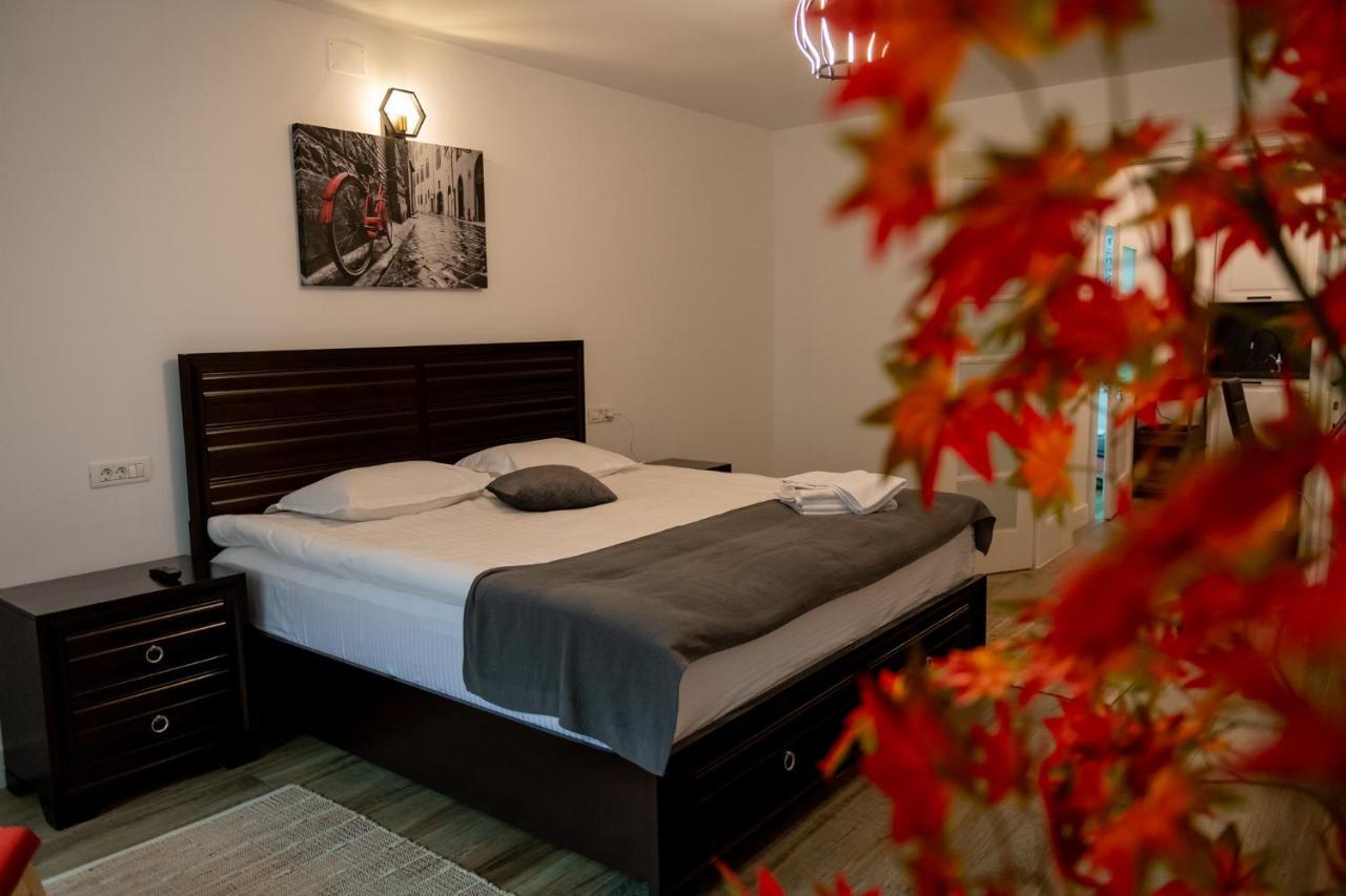 Old Town Suites Brašov Exteriér fotografie